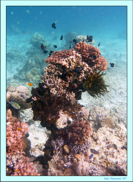 209   07   Sibuan 22